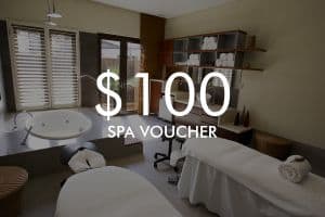 $100 Vie Spa voucher