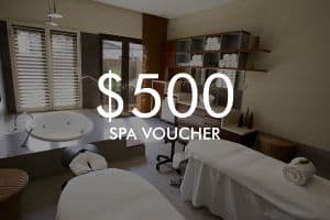 $500 Vie Spa Voucher